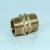 20mm brass nipple 